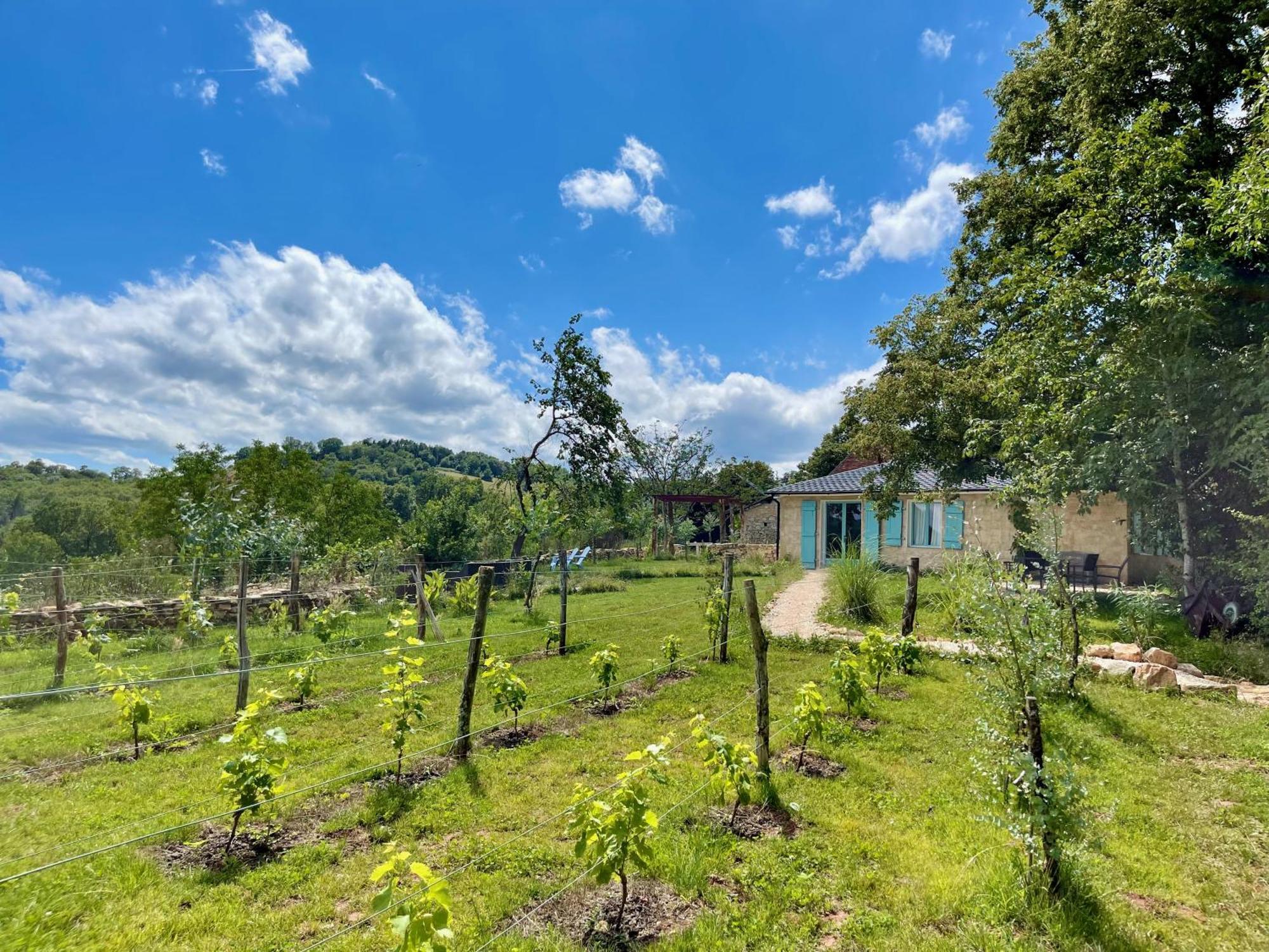 Вилла La Belle Petite Ferme Rosiers De Julliac 19350 Le Bos Экстерьер фото
